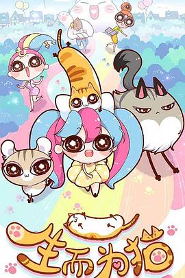 高清正片免费观看视频海报剧照