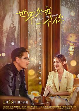 宋下纱荣子海报剧照